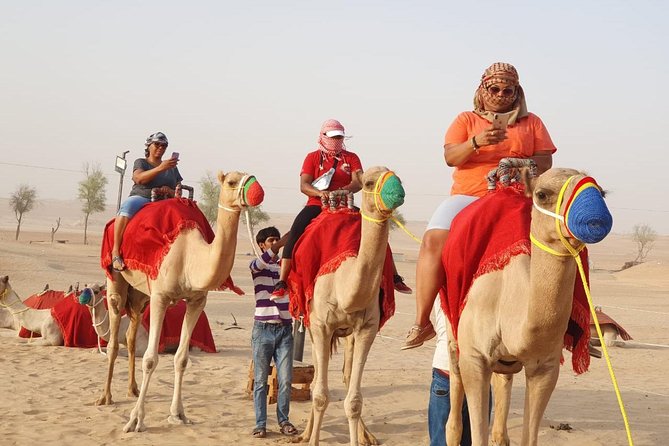 Abu Dhabi city tour & desert safari from Dubai - Guides can shape the whole day
