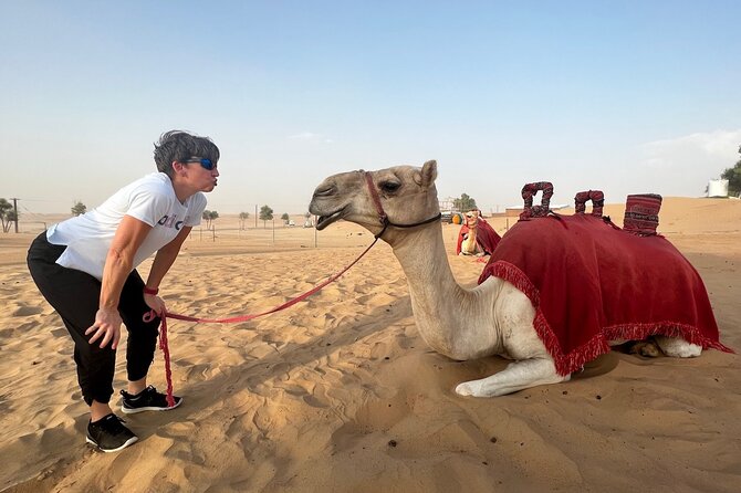 Abu Dhabi Desert Safari Tour with Shows & Buffet Dinner - Dune Bashing at Al Ajban