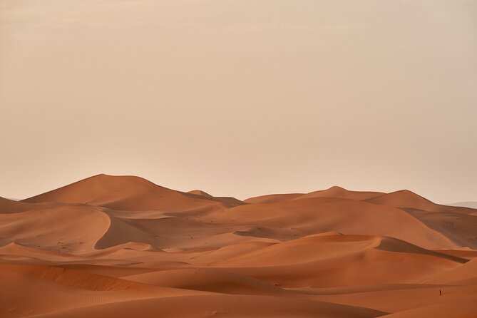 Abu Dhabi Desert Safari Tour with Shows & Buffet Dinner - The Camel Ride Is Short, So Plan Accordingly