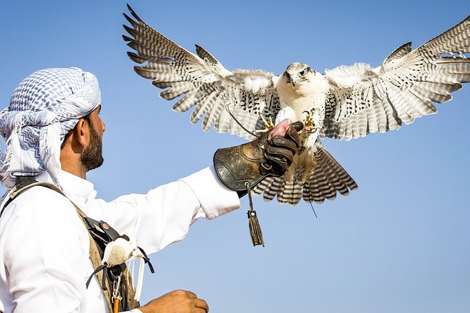 Abu Dhabi: Desert Safari with BBQ, Camel Ride & Sandboarding - BBQ dinner with Arabic salads and desserts