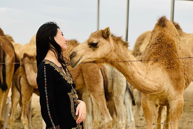 Abu Dhabi Desert Safari With BBQ Dinner & Live Shows - How much value do you get for $60?