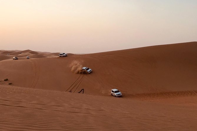 Abu Dhabi Desert safari with BBQ Dinner,Sandboarding & Camel ride - Key points before you book