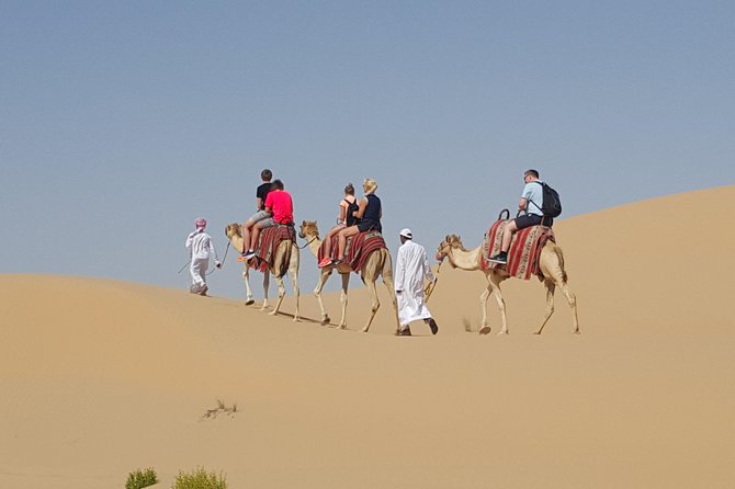 Abu Dhabi Desert safari with BBQ Dinner,Sandboarding & Camel ride - Meeting the camels at the farm