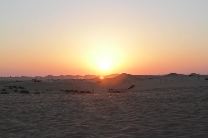 Abu Dhabi Desert Safari with BBQ Dinner & Shows - Dune bashing across Abu Dhabi’s desert