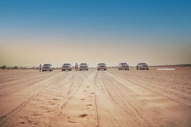 Abu Dhabi Evening Desert Safari BBQ, Camel Ride, Entertainments - Camel farm visit and short camel ride