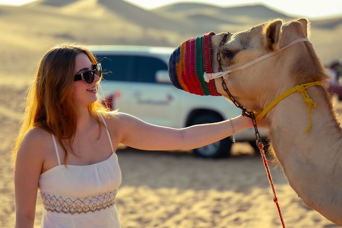 Abu Dhabi Evening Desert Safari - Private car Dune bashing & BBQ - Who gets the best value from this safari