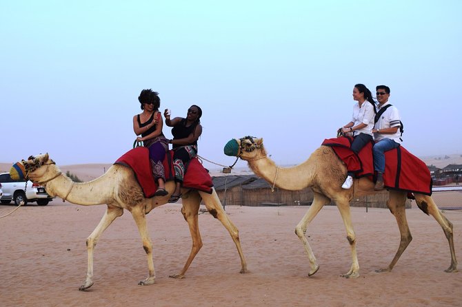 Abu Dhabi Evening Desert Safari with BBQ Dinner and all Camp Activities - Abu Dhabi desert safari review: what you are really buying