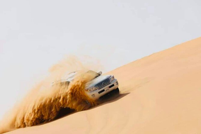 Abu Dhabi: Evening Desert Safari with Camel Ride, BBQ & Live Show - Is $72 good value?