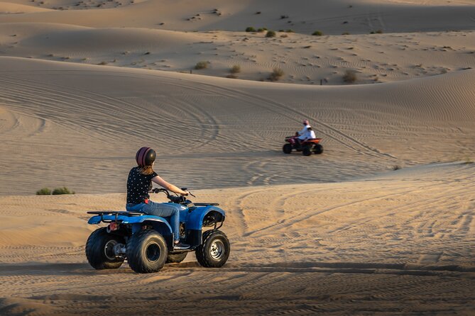 Abu Dhabi Full-Day Desert Safari - The drive to the dunes and the first desert views