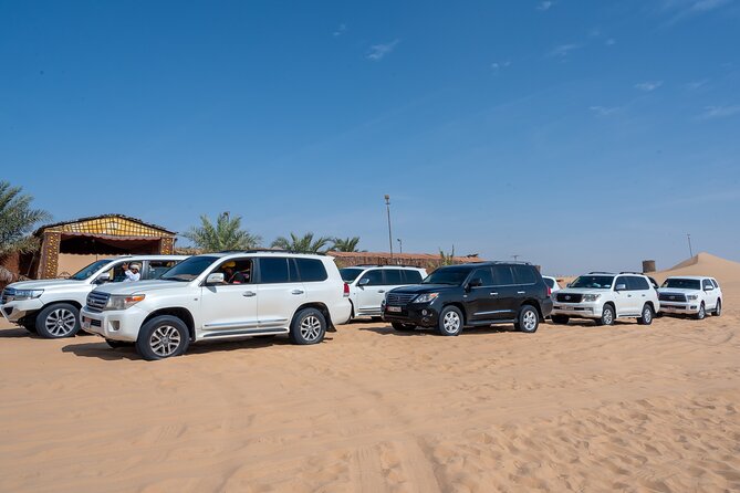 Abu Dhabi Full-Day Desert Safari - Quad biking and sandboarding