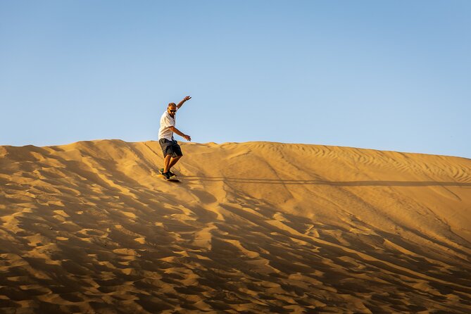 Abu Dhabi Full-Day Desert Safari - Dune bashing with a confident 4x4 driver