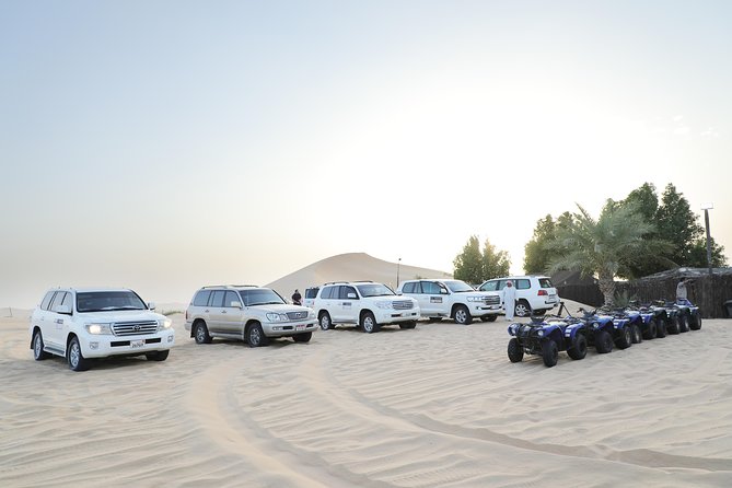 Abu Dhabi Half Day Desert Safari - Camel riding and a glimpse of camp life