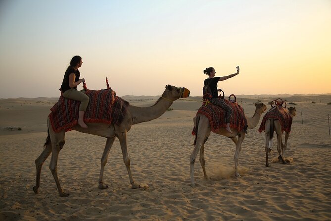 Abu Dhabi Half Day Desert Safari - What $74 buys you