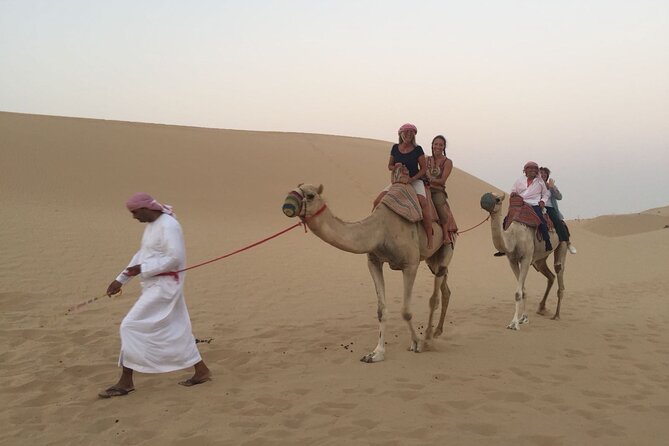 Abu Dhabi Morning Desert Safari - The 4WD dune bash is the main thrill