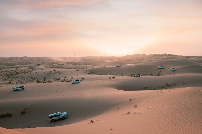 Abu Dhabi Morning Desert Safari: 4x4 Dune Bashing, Camel Ride and Sandboarding - Leaving Abu Dhabi at 7:30 am