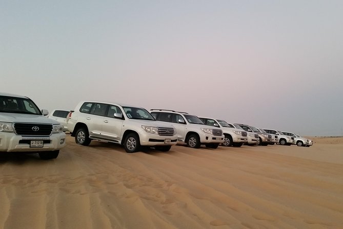 Abu Dhabi Morning Desert Safari - Coffee, photos, and the pace of the morning