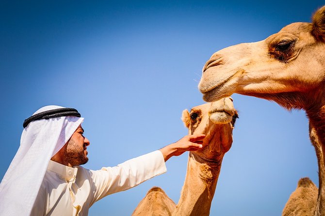 Abu Dhabi: Morning Desert Safari with Camels and Sandboarding - What the 4WD dune bashing is really like