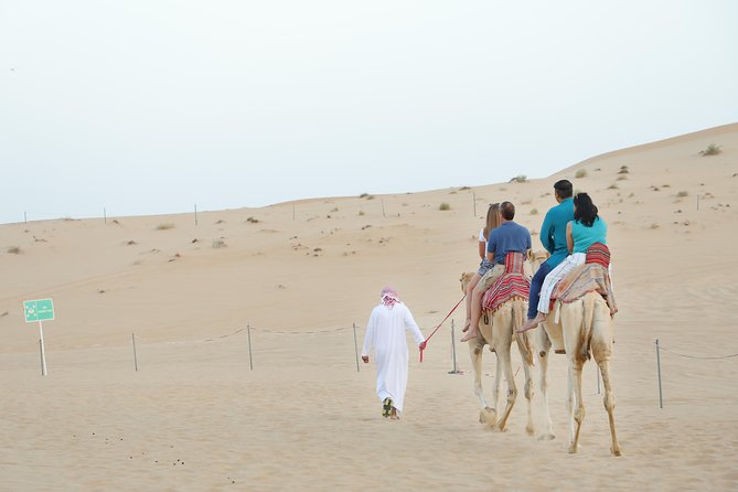 Abu Dhabi Morning Desert Safari - From Abu Dhabi hotel to open desert