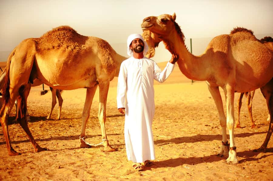 Abu Dhabi: Overnight Desert Safari - Camel farm, dunes, and the first rush of adventure