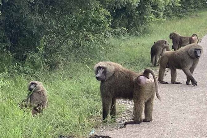 Accra Safari at Shai Hills and Boat Cruise + Cedis Beads - What the $250 price really includes