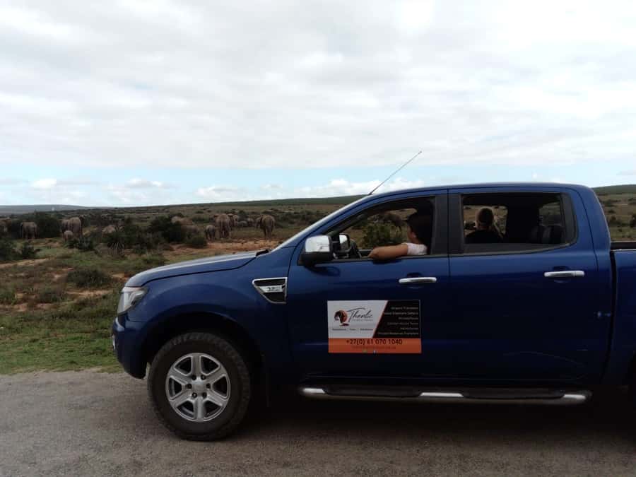 Addo Elephant National Park Game Drive Day Tour With Lunch - The first game drive and the art of waiting