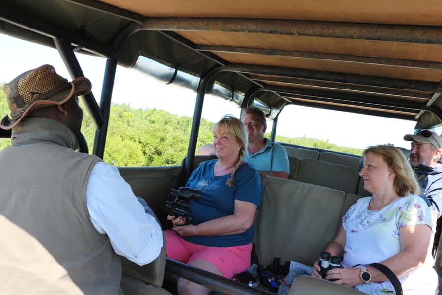 Addo Elephant National Park Game Drive Day Tour With Lunch - A lookout stop with drinks and snacks