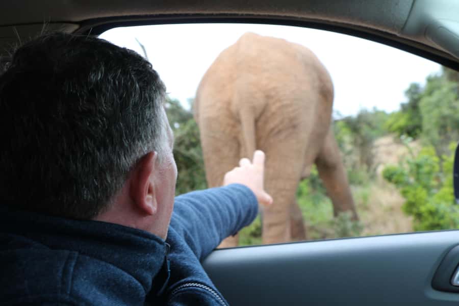 Addo Elephant National Park Game Drive Day Tour With Lunch - The guides make a real difference