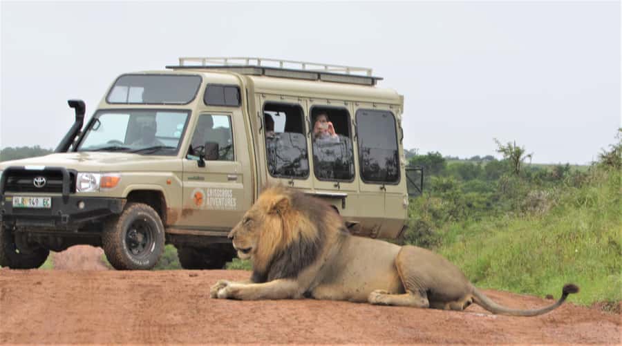 Addo National Park: Guided Half-Day Safari - The real value at $81 per person