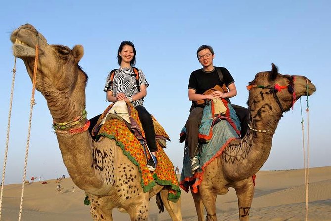 Adventure non touristic camel safari - Key points before you book