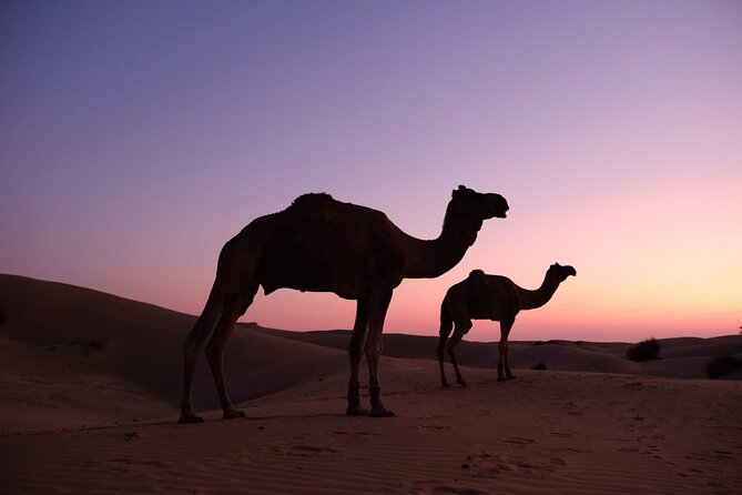 Adventure non touristic camel safari - Kuldhara, an abandoned village with a stark setting