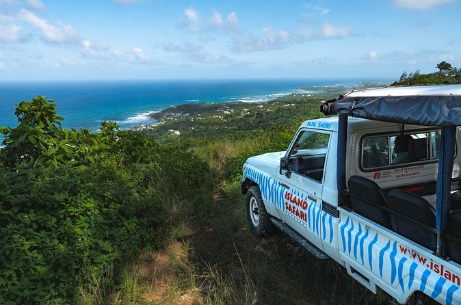 Adventure Safari - Little Bay and the northern shore