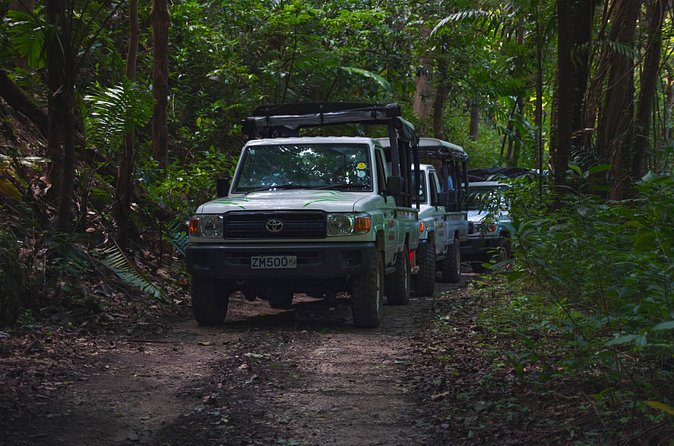 Adventure Safari - Is $165 a fair price?