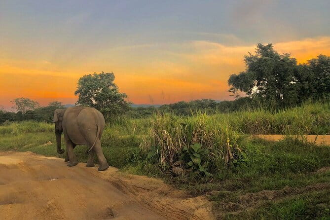 Adventure safari Experience in Hurulu Eco Park, Sri Lanka - Why the private format changes the experience