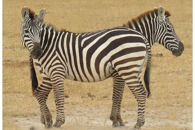African Wildlife & Nature - 5 Kenya national parks - 6 day Jeep Safari - Day three: Lake Naivasha by boat and on foot