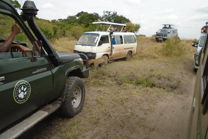 African Wildlife & Nature - 5 Kenya national parks - 6 day Jeep Safari - Day two: Mzima Springs, Amboseli, and Kilimanjaro views