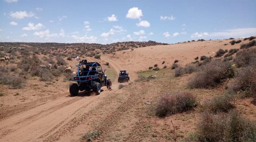 Agadir: Buggy Safari Adventure - Language, guides, and group feel