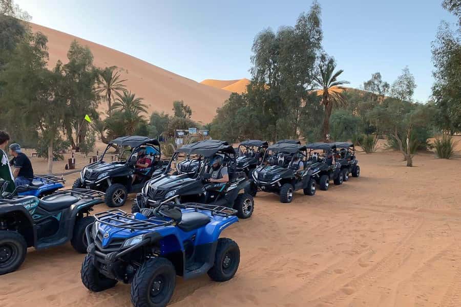 Agadir: Half-Day Desert Dunes Buggy Safari - A morning ride through the Souss-Massa sand