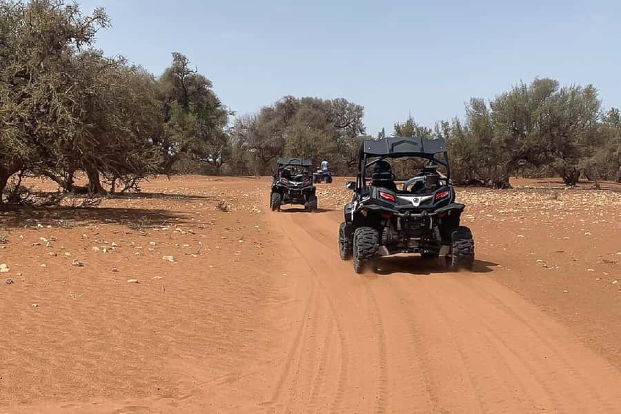 Agadir: Half-Day Desert Dunes Buggy Safari - Practical tips for a smoother morning