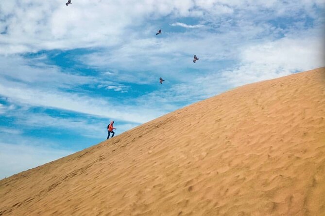 Agadir Jeep Safari Sahara Desert 4x4 Day Tour with Lunch - A five-hour pause in Berber country