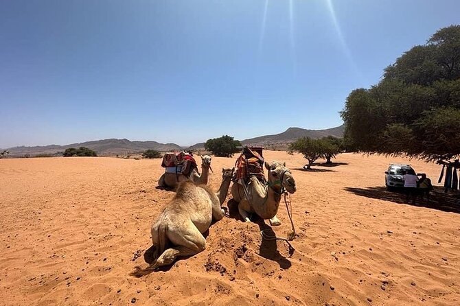 Agadir Jeep Safari Sahara Desert 4x4 Day Tour with Lunch - The Youssef Ben Tachfine Dam viewpoint