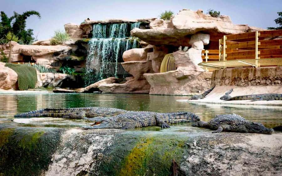 Agadir: Quad Safari with Crocoparc Optional - Key points at a glance