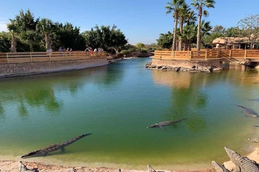 Agadir: Quad Safari with Crocoparc Optional - Crocoparc: crocodiles, gardens, and a useful add-on