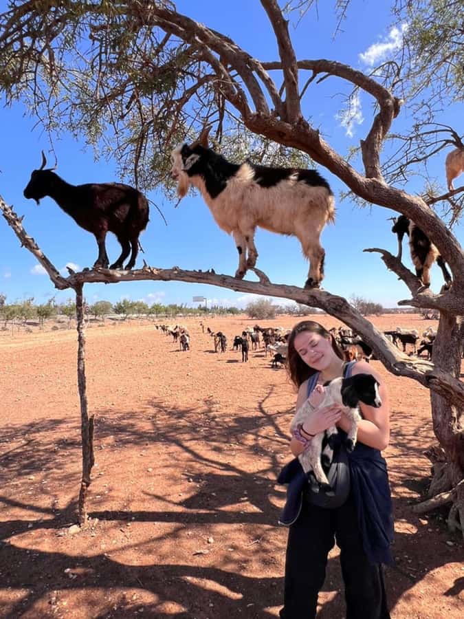 Agadir: Quad Safari with Crocoparc Optional - Guides, children, and first-time riders