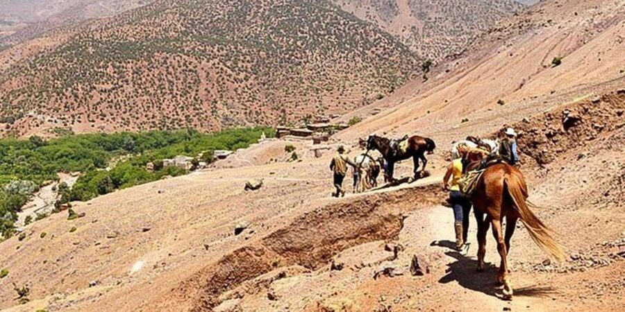 Agadir: Quad Safari with Crocoparc Optional - What the $29 price includes