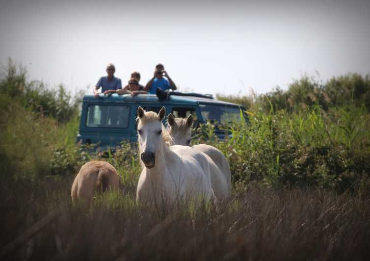 Aigues Mortes: Jeep Photo Safari in Camargue - Looking for the Camargue’s white horses and black bulls