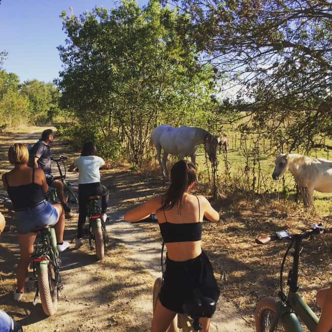 Aigues Mortes: safari en vélo - Ebike tour in Camargue - Looking for Camargue horses and bulls