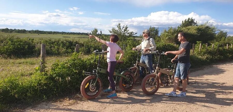 Aigues Mortes: safari en vélo - Ebike tour in Camargue - Vineyards, marshes, and the working countryside