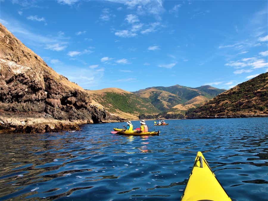 Akaroa: 4WD Safari and Guided Sea-Kayaking Experience - Paddling beneath cliffs and sea caves