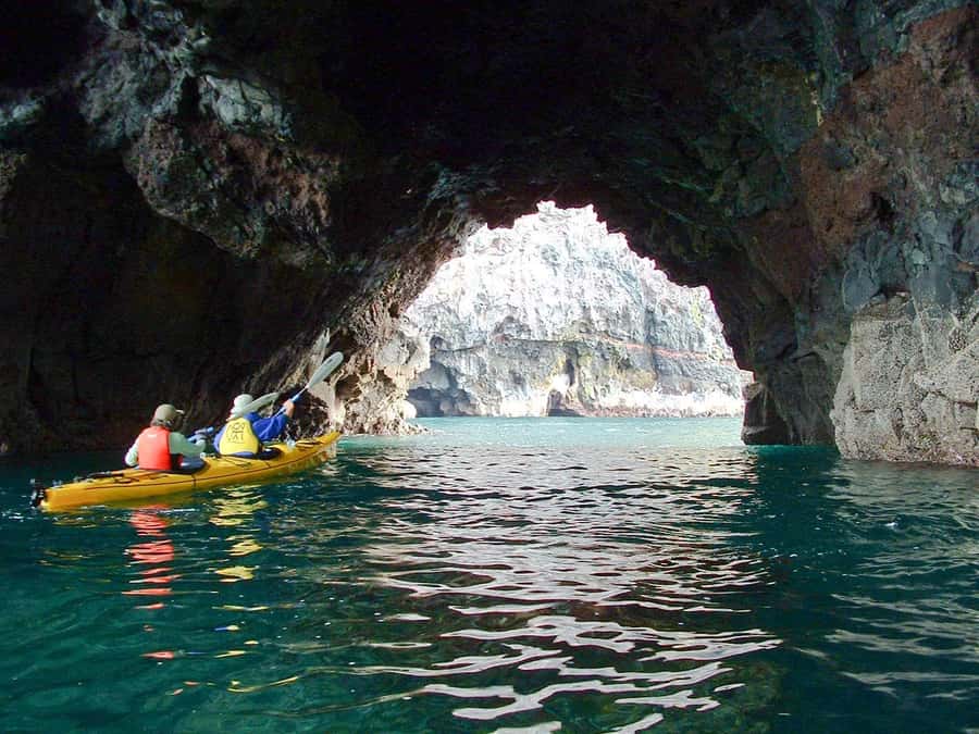 Akaroa: 4WD Safari and Guided Sea-Kayaking Experience - Guides who add meaning to the trip