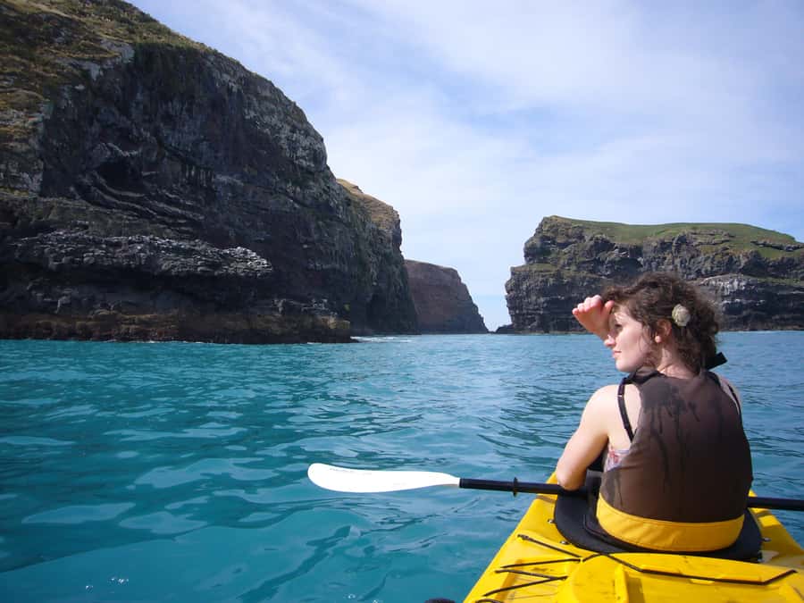 Akaroa: 4WD Safari and Guided Sea-Kayaking Experience - How much value do you get for $80?